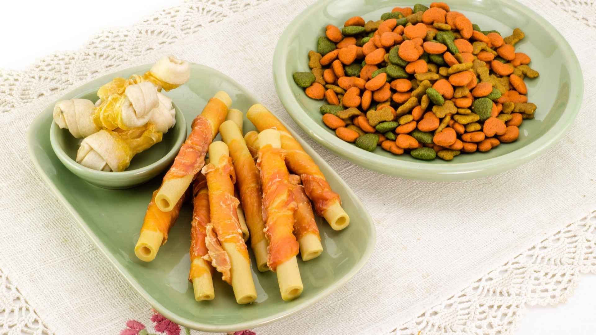 מזון רפואי לכלבים