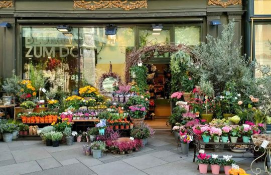 חנות פרחים אונליין2